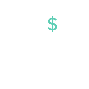 currency icon